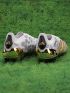 adidas Predator Elite FG Generation Pred 2.0