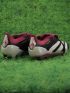 adidas Predator 30 Elite Tongue FG 30th Anniversary