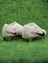Nike Zoom Mercurial Vapor 15 Elite FG United Golden
