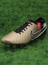 Nike Tiempo Legend 10 Elite FG Golden Touch