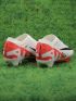 Nike Air Zoom Mercurial Vapor 15 Elite FG Ready