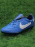 Nike Premier III FG