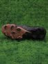 PUMA Future 7 Ultimate FG/AG Eclipse