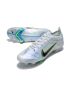 Nike Mercurial Vapor 14 Elite FG The Progress