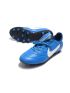 Nike Premier III FG