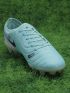 Nike Tiempo Legend 10 Elite FG Peak Ready