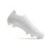 adidas Predator Accuracy.1 Low FG White White