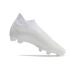 adidas Predator Accuracy+ FG White White White